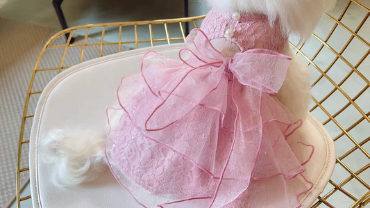 Pink Princess Dog Dress with Bow – Lace Puppy Dress for Small Dogs | Cute Pet Clothes