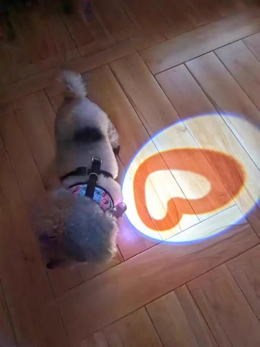 Heart Projection Dog Toy – Interactive Chase Light for Dogs | USB Rechargeable Collar Light
