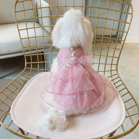 Pink Princess Dog Dress with Bow – Lace Puppy Dress for Small Dogs | Cute Pet Clothes