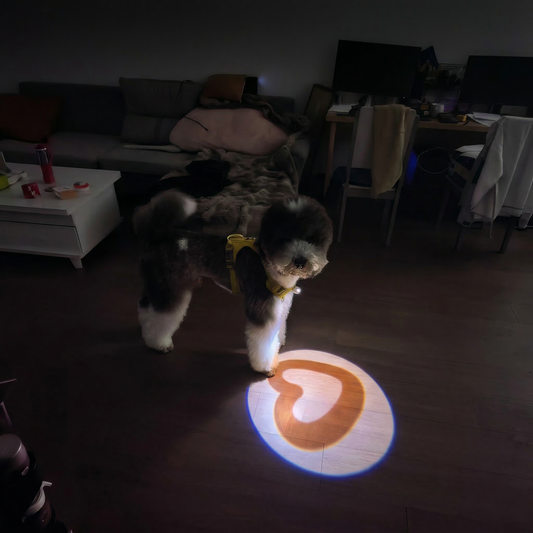 Heart Projection Dog Toy – Interactive Chase Light for Dogs | USB Rechargeable Collar Light