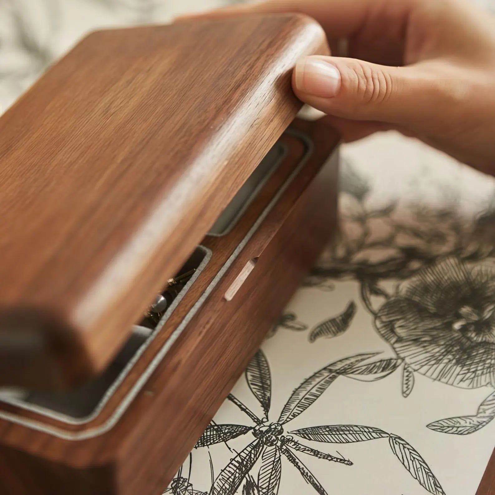 Hand opening the black walnut jewelry box, showing the smooth rounded solid wood lid and refined edge finish